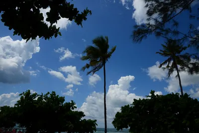 DSC_7662 (Large).JPG